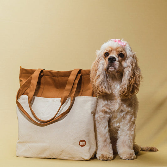Canva Tote Bag the best companion for this summer
