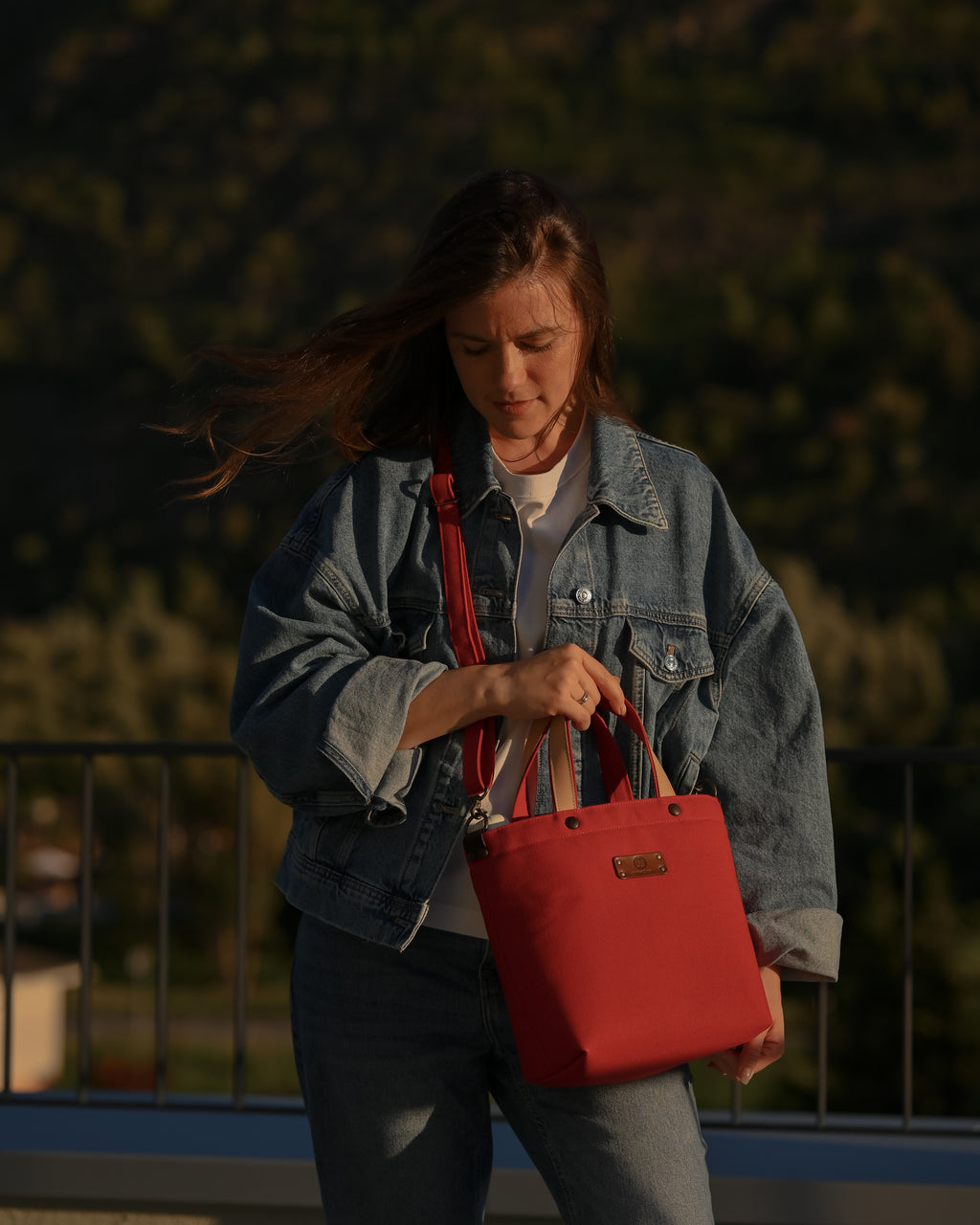 handbag